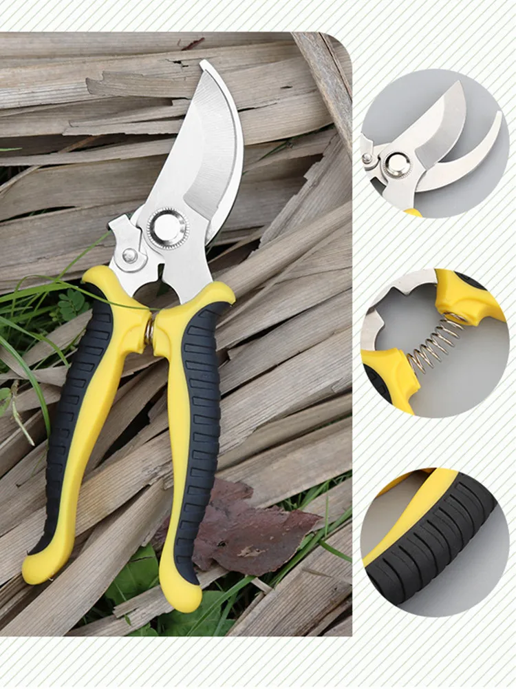 11980777851_1051850320