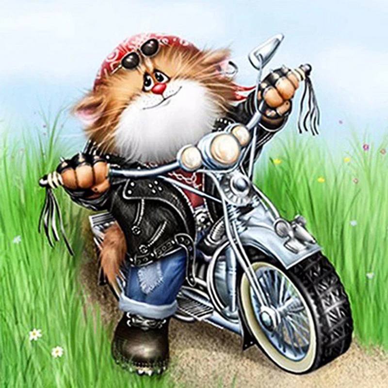 HTB1zxlWV4jaK1RjSZFAq6zdLFXaa