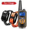 For 2 dogs Orange