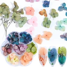 1 колесо сушеные цветы 3D дизайн ногтей украшения градиент натуральные наклейки с цветами для УФ гель-лака маникюрные аксессуары наконечник TR1524