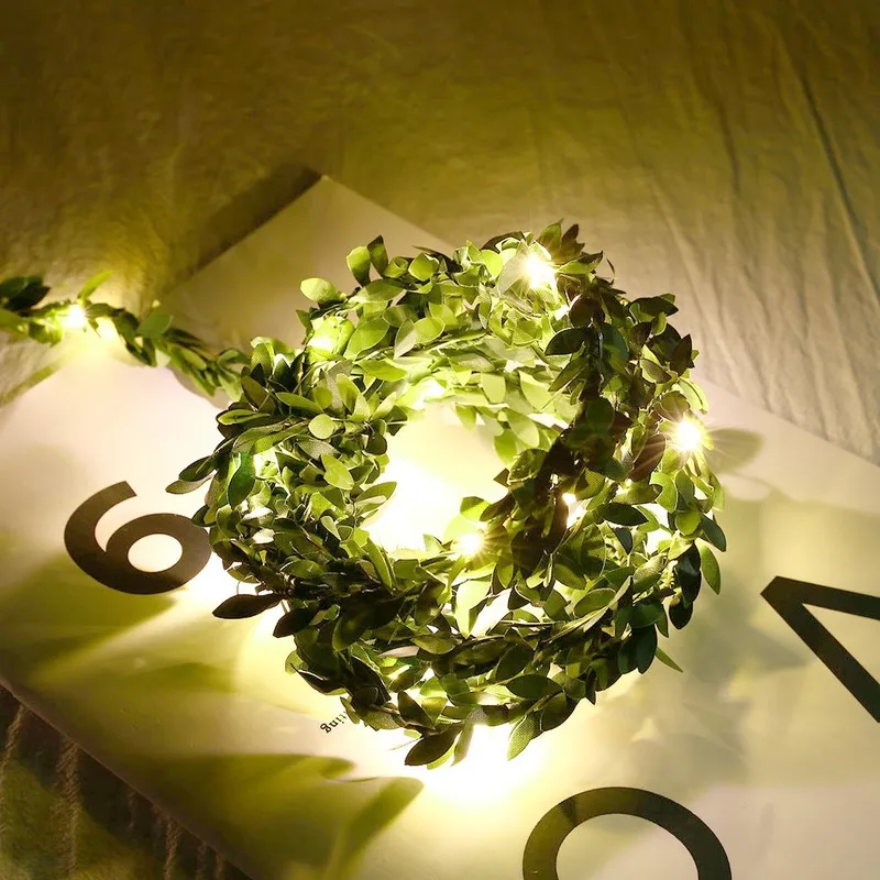 

3 Meters USB Warm White Christmas Home LED Light String Around Rattan
