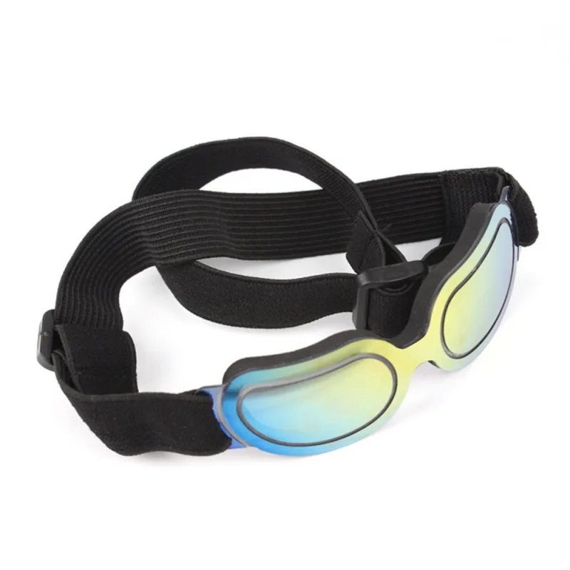 Stylish Sunglasses for Dogs