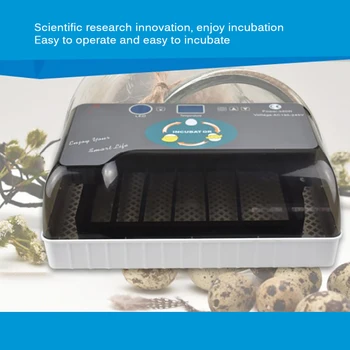 

Farm Hatchery Incubator Brooder Machine Hatchers Cheap Price Chicken Automatic Eggs Incubator Bird Quail Brooder