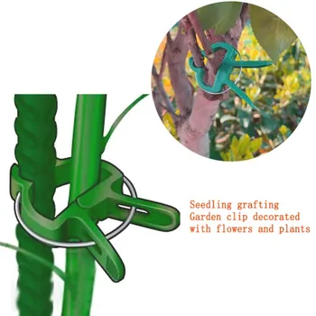 

Plant Support Clips Garden Tomato Plant Support Holder Clips For Supporting Stems Vines Grow Upright Climbing Tool 100Pcs