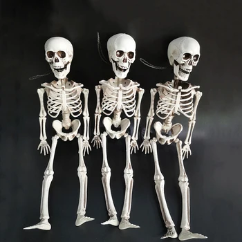 

Skeleton Model Human Arts Medicine Anatomical Anatomy Bone Medical Haunted House Secret Room Bar Props Miniature Figurines
