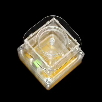 

Ant Farm Rubik's Cube, Acrylic Reptile, Large Workshop Villa, Pet Breeding, Unique Gift Two Sizes Available