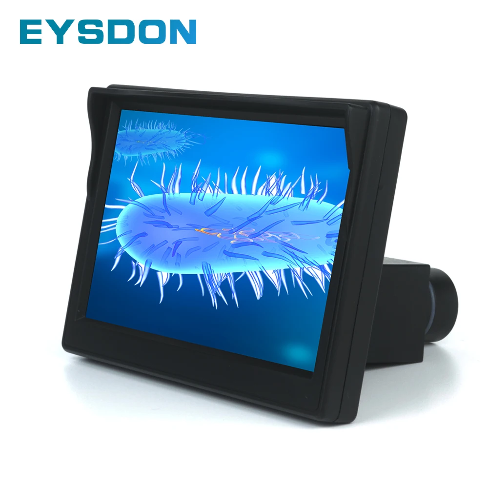 DisplayScreen-1