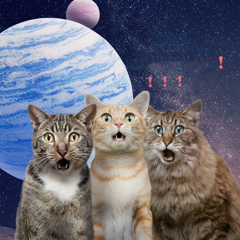 Новый собачий мяч для кошек игрушка с текстурой эва планеты мячики игрушки