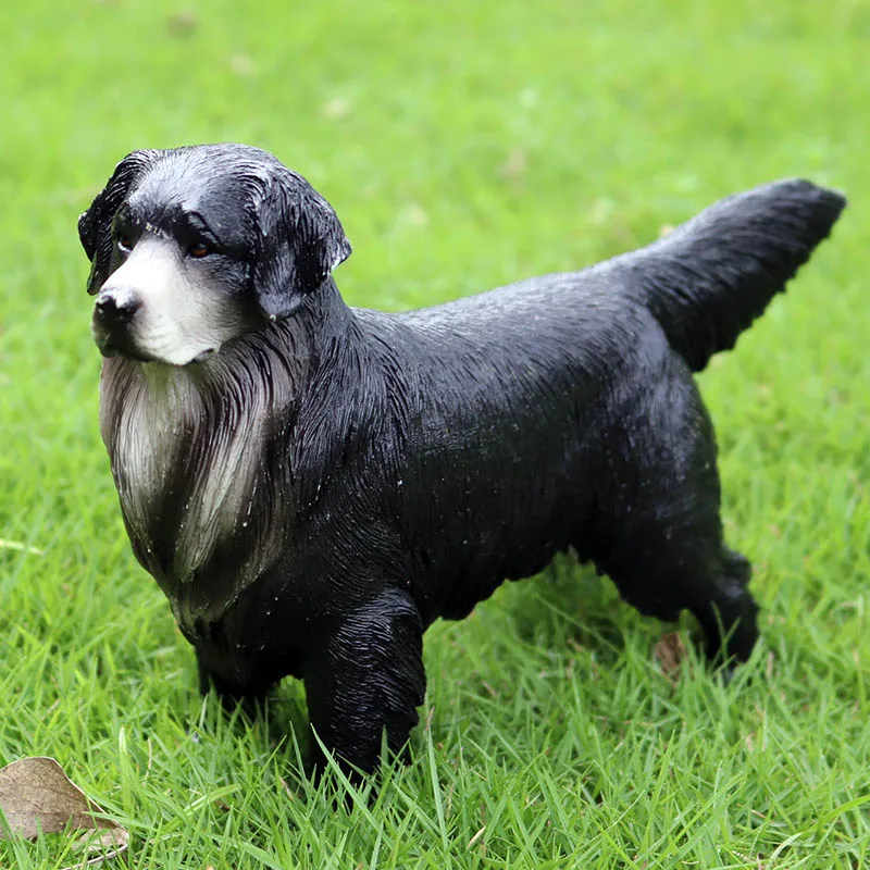 PL127-1165黑色超大金毛犬