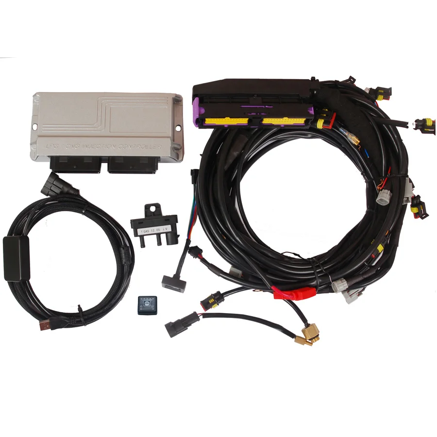 Электронный блок управления для модификации газа автомобиля преобразование