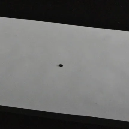 Рисунок 4 - Алмазная серная кислота