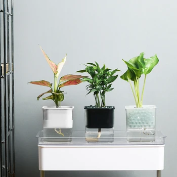 

Plastic Transparent Plants Automatic Watering Cup Decorative Flowers Water Feeder for Soil Cultivation Water Absorption Bonsai