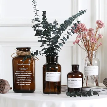 

Nordic small brown bottle ins wind transparent tableware glass vase dried flowers hydroponic green dill home decoration vase 2