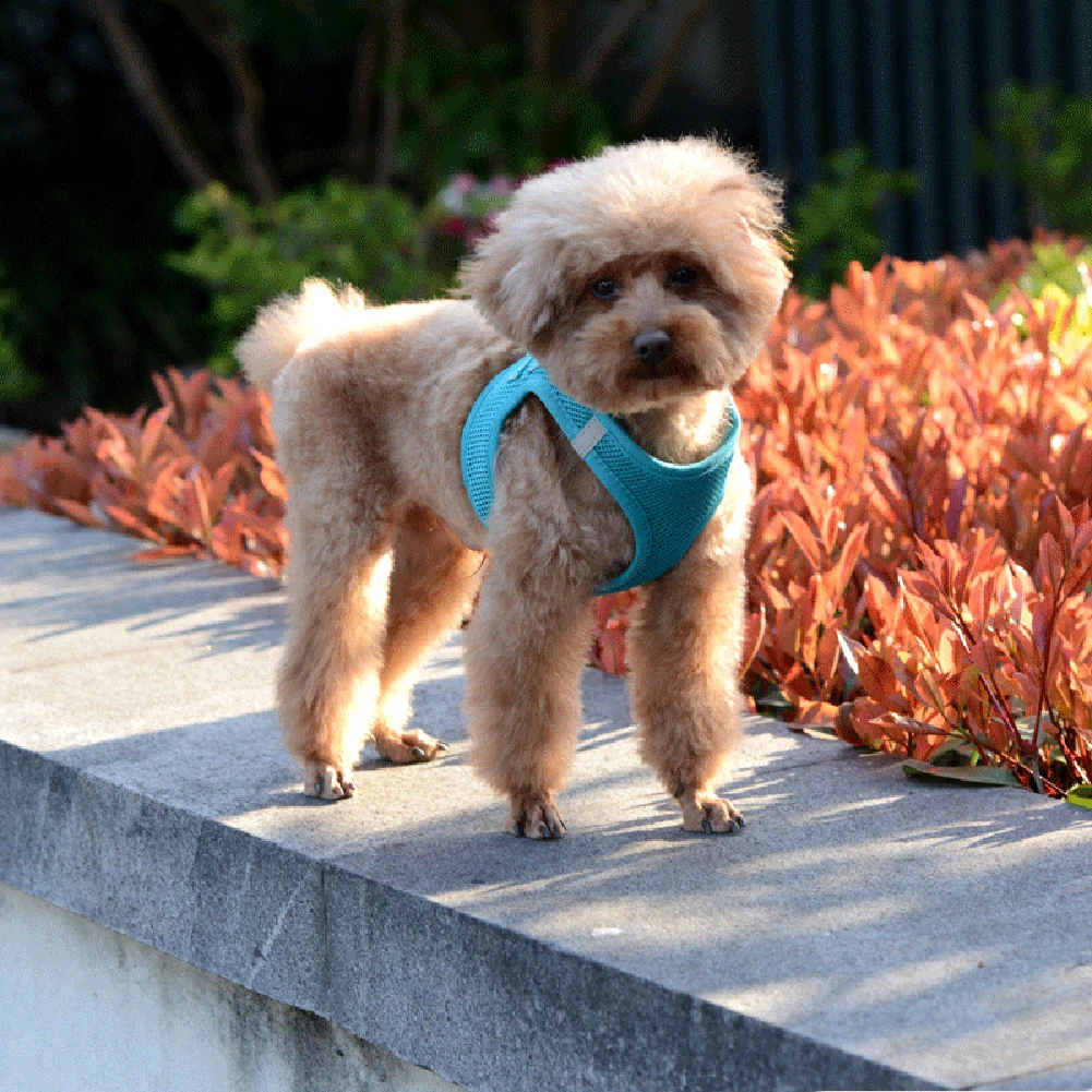 Собака груди с задним ремешком Щенок Кот жилет для малых и средних собак товары