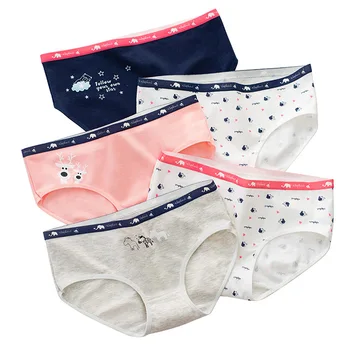 

5Pcs/lot Cotton Panties Breathable Underpants Girls Antibacterial Briefs Animal Print Lingerie Kawaii Underwear Female Intimates