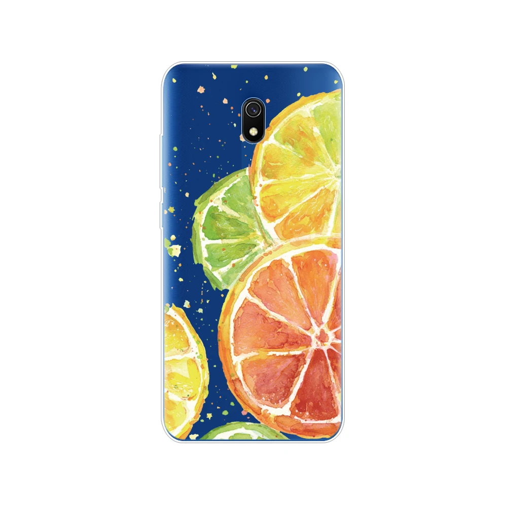 34248 Чехол для xiaomi redmi 8a, чехол, Мягкий ТПУ силиконовый чехол на заднюю панель для redmi 8a, бампер hongmi 8a, чехол для телефона, Забавный чехол - Цвет: 34248