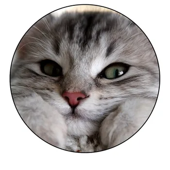 

Round mouse pad sailor moon cat gamer mouse pad cute cat office mouse mat small size Locking Edge For PC Notebook gamer desk pad