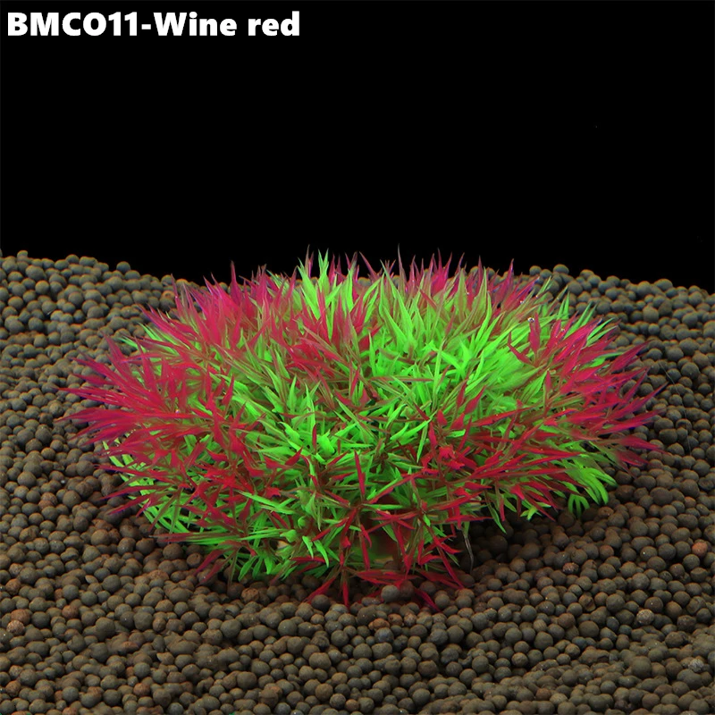 BMCO11 (3)