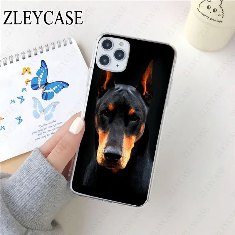 black Dachshund Doberman Dog face