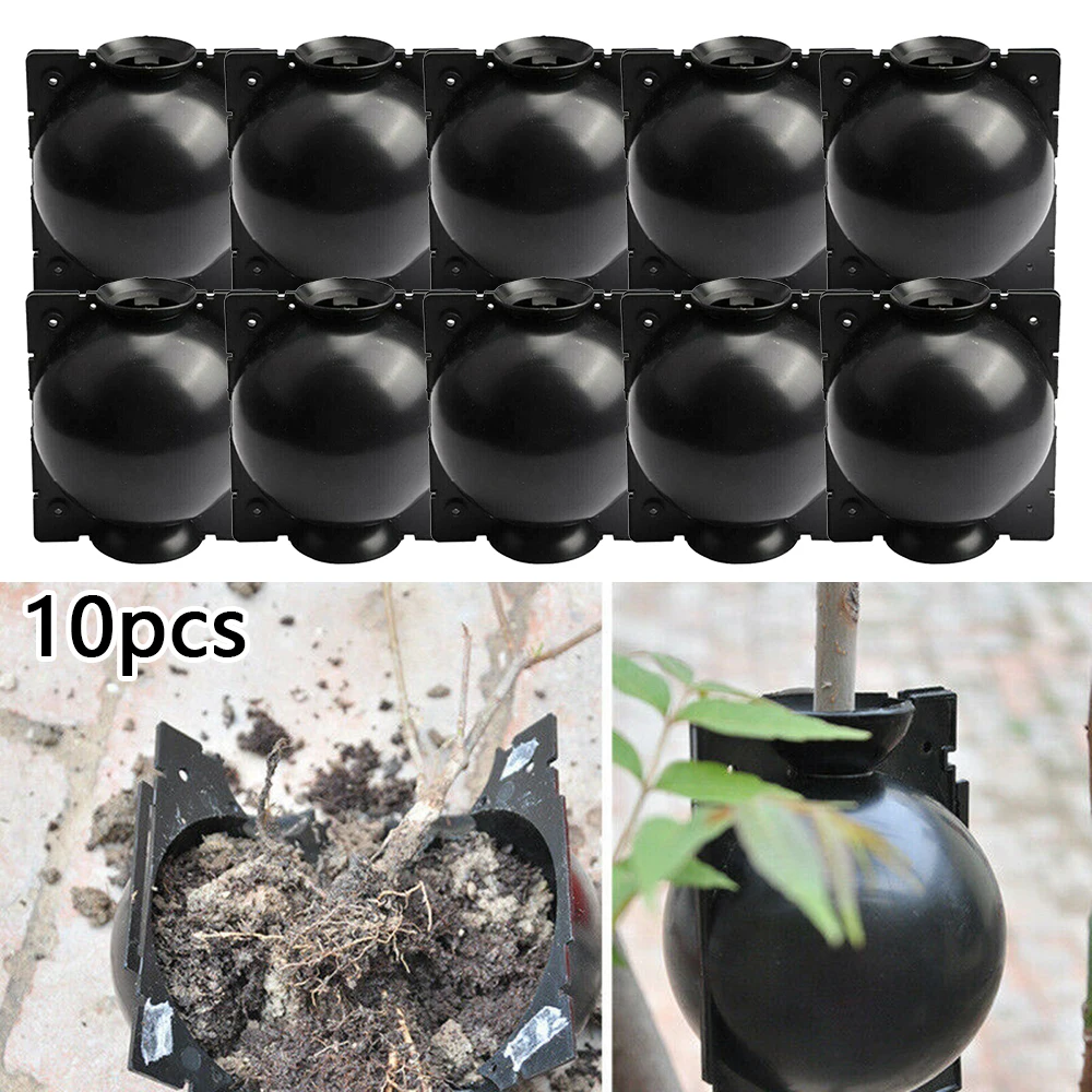 10Pcs Plant Rooting Ball High Pressure Grafting Rooting Box Root Growing Box Breeding Case Plant Growth Balls Gardening Supplies