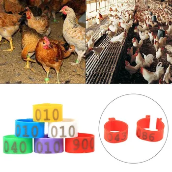 

100pcs Inner Diameter 16mm 20mm Clip On Leg Band Rings Chickens Ducks Hens Poultry Pigeon Carry Ring With Text Parrot Leg Rings