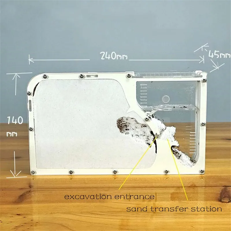 Big-formicarium-Ant-Nest-Ant-Farm-Acrylic-Insect-ants-house-Ecological-Workshop (5)