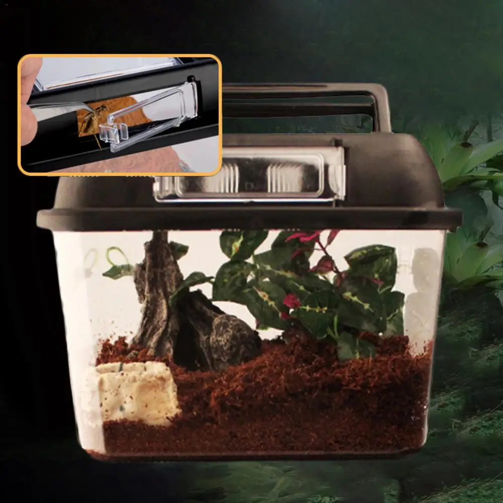 

Square high transparent reptile terrarium spider frog box turtle tank cylinder cage finishing small fish tank