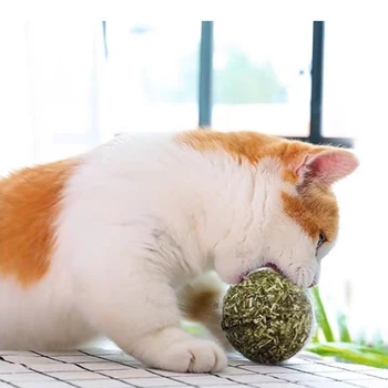 

Wall Mount Catnip Ball Cat Snack Help Digestion Nutrition Ball Cats Lick Solid Menthol Balls Cat Toy Help Digestion Tooth Molar