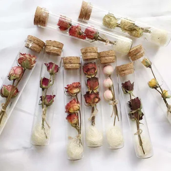 

Clear Glass Test Tube With Dried Flowers Wishing Drift Bottle DIY Home Living Room Desktop Vase Decoration