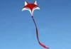 New Arrival High Quality  Outdoor Fun Sports  Fox Kite  good   Flying 3