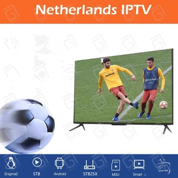 

Netherland Nordic Subscription World Pro Free Test Android Smart Box IOS STB M3U IPTV Support EPG 4K 1080P HD