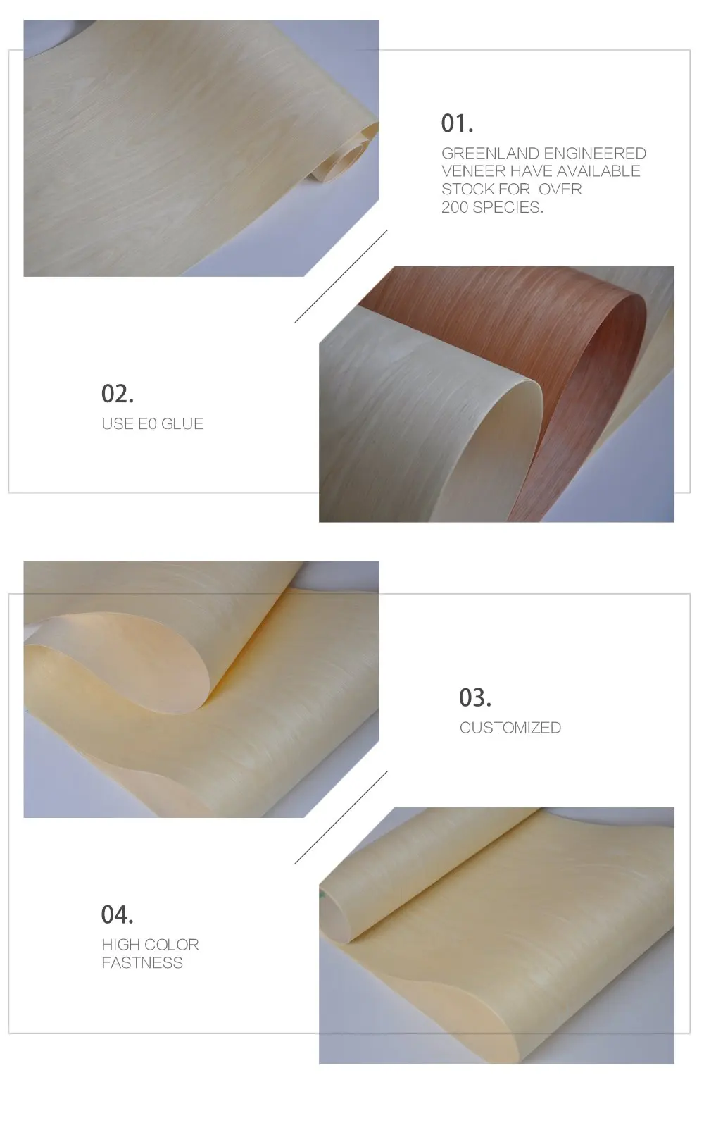 Engineered Maple