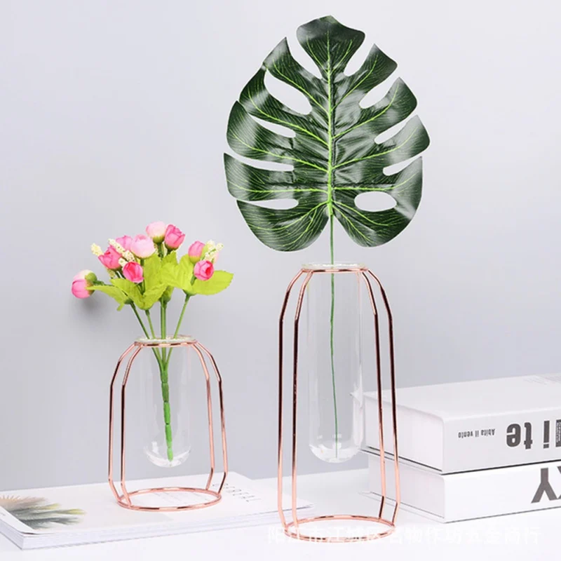 

Nordic Style Golden Glass Vase Iron Hydroponic Plant Flower Pot Tabletop Coffee Shop Office Decoration Transparent Frame Vase