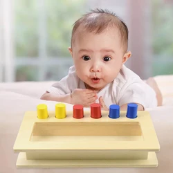 Montessori Imbucare Peg Box Early Learning Educational Accessories Hand-Eye Coordination Motor Skills Christmas Present for Kids