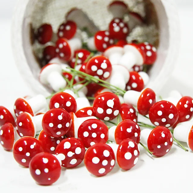10PCS