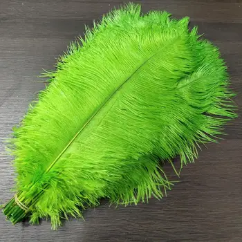 

Best Sellers 10pcs Gorgeous Fruit Green 22-24inches/55-60cm Natural ostrich feathers DIY jewelry Christmas Halloween Decoration