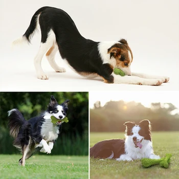 

S/M Size Rubber Pets Dog Chew Toy Bite-Resistant Teeth Cleaning Toy For Pet Dog Puppy Cat Pet Training Play Supplies