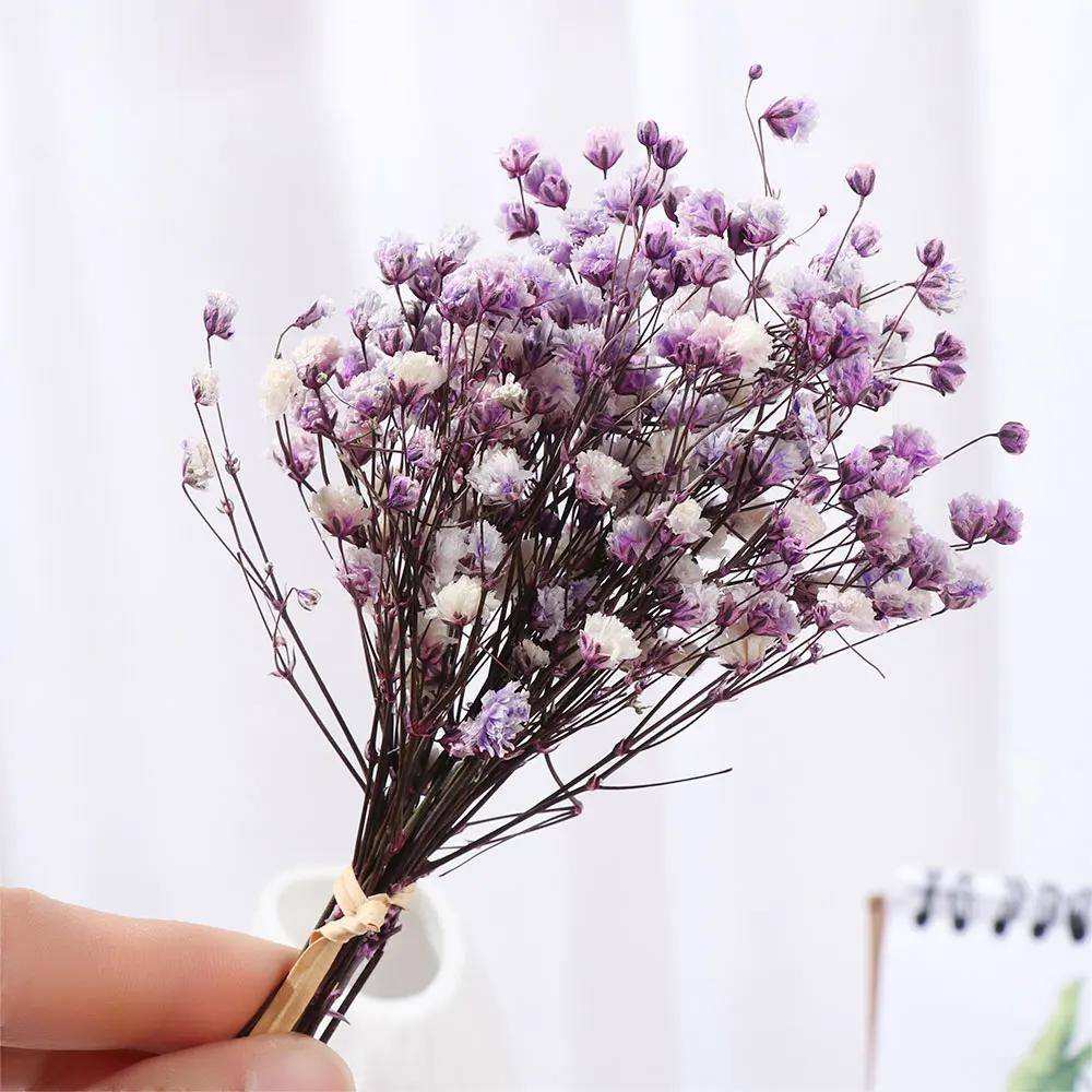 Small Natural Dried Flowers Bouquet Mini Babysbreath Natural Fresh Dried  Preserved Flowers Dry Flowers Press Mini Photography De - AliExpress