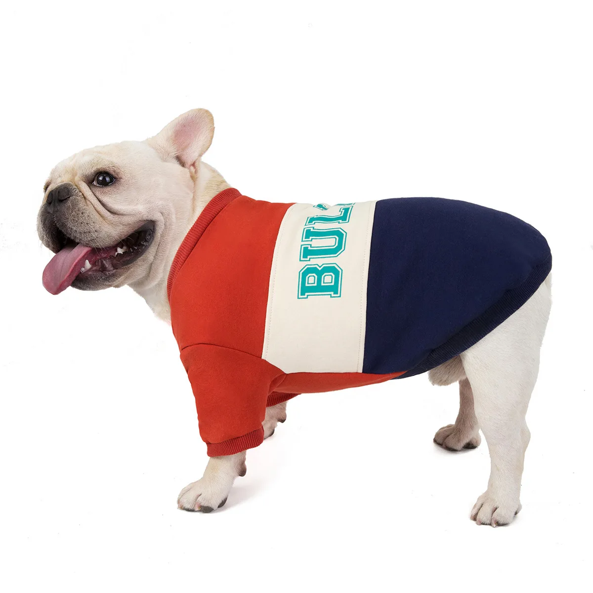 Теплый свитер для маленьких собак, свитер с буквенным принтом для французского бульдога, мягкий наряд для чихуахуа, щенка, костюм