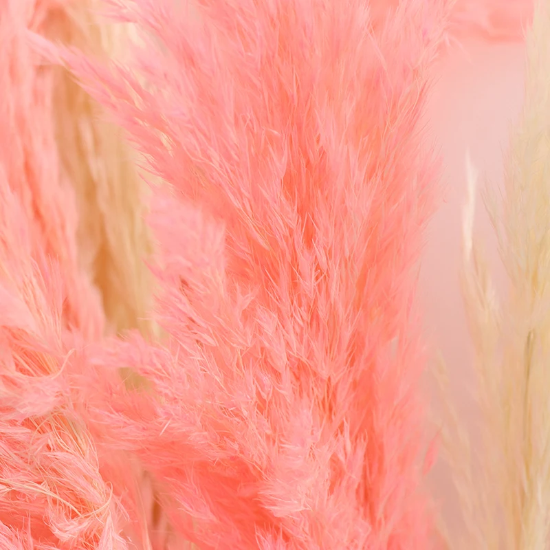 1 шт. сушеные растения пампасы трава натуральный Phragmites свадебный цветок букет сырой розовый цвет Рождественский подарок