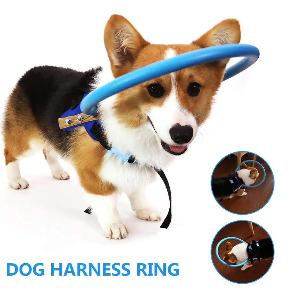 

Hot Sale Blind Pet Anti-collision Ring Scorpion Cataract Animal Protection Circle Guide Dog Harness For Small Puppy Dogs Yorkies