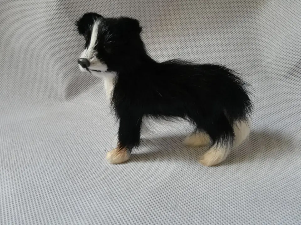 toy border collie