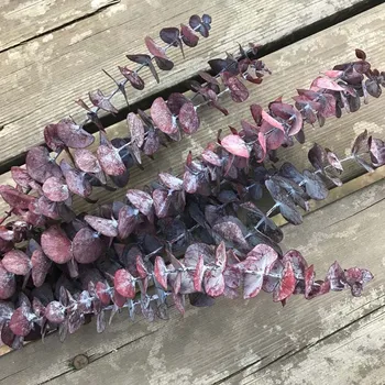 

50-60CM/5PCS Dried Natural Fresh Preserved Green Leaf Branch,Forever Real plants Eternelle eucalyptus Branches For Home Decor