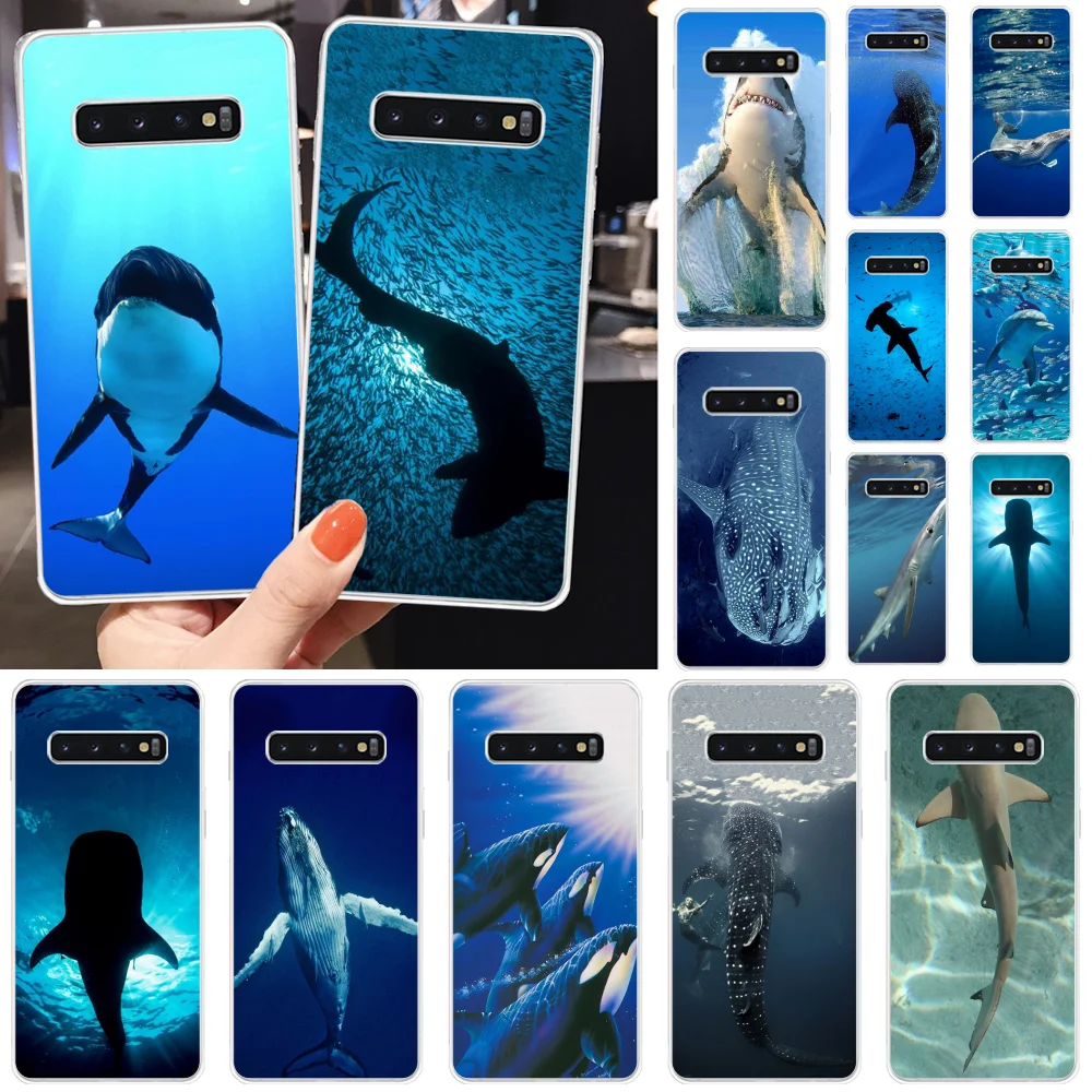 Чехол BaweiTE Ocean Whale Shark Swimming мягкий чехол для телефона Samsung S10 Plus S9 S8 S8plus S7 S6 чехлы