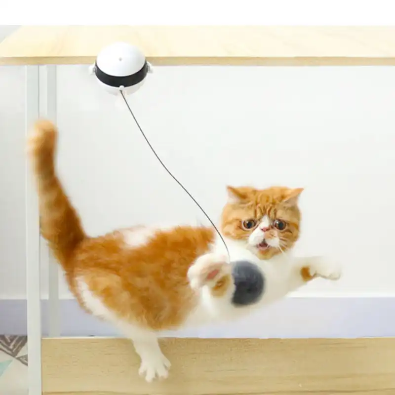 cat motion toys