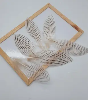 

50Pcs/Lot 6-8" 15-20cm Pheasant Feathers Silver pheasant Feathers for Craft Millinery Fly Fishing wholesale