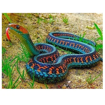 

5D Full Diamond Painting Cross Stitch Kit Diy Diamond Embroidery animals snake Pattern Diamond Mosaic Rhinestone decor GG4068