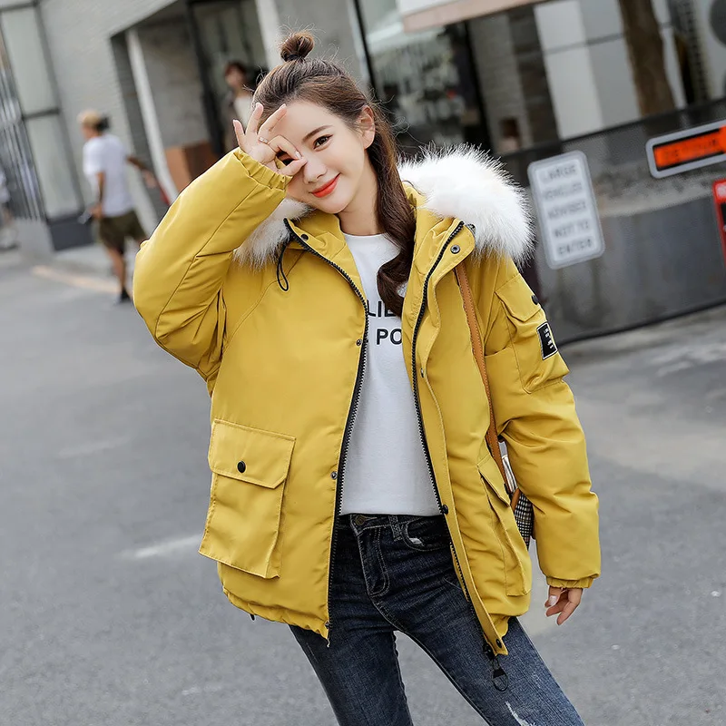 

Fashion Comfortable Elegant Cotton-padded Clothes/Cotton Coat 2019 Autumn Long Sleeve Hooded Elegant