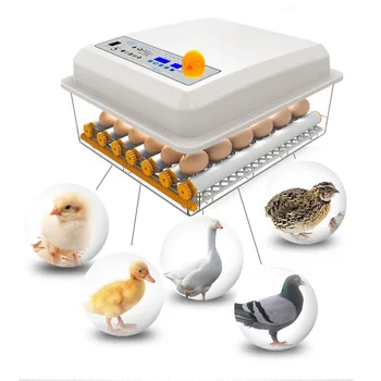 

1pc Household Incubation Case 24 Slots Incubator Eggs Incubation Box Breeding Container with EU Plug (Single Power)