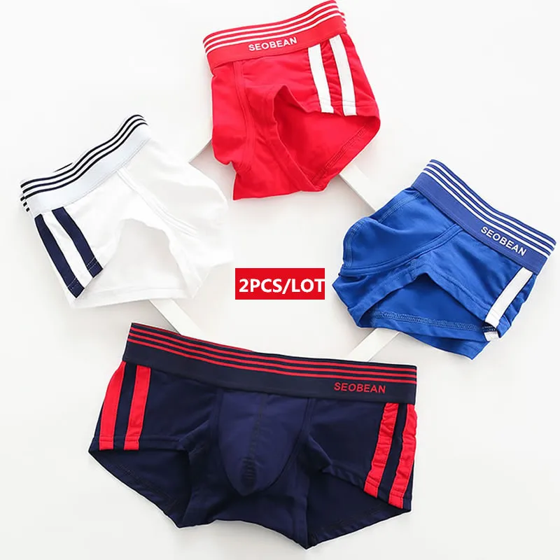 

2PCS/LOT Male Underwear Breathable Cotton Boxer Men Panties U Convex Pouch Sexy Underpants Low Waist Boxers Shorts Homme